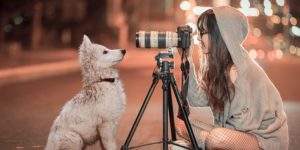 O-DAN (オーダン） 複数の写真素材サイトから写真を検索できる