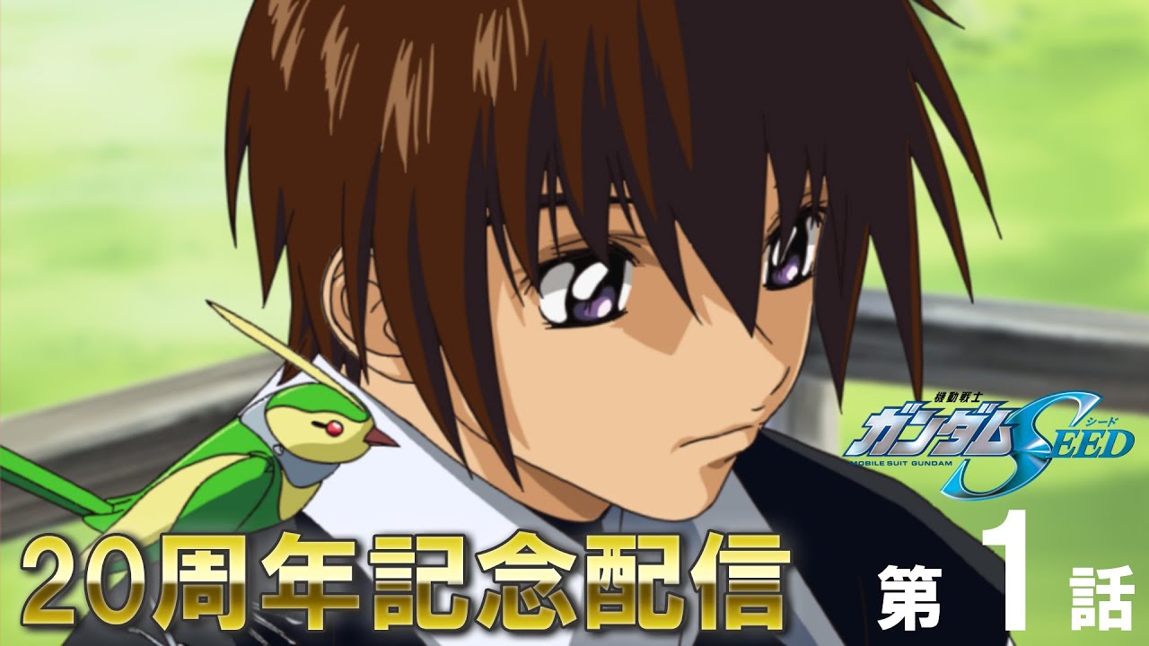 機動戦士ガンダムSEED ― 戦火に揺れる絆と選択